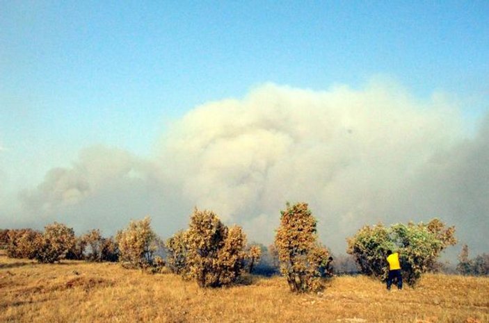 Tunceli ve Nusaybin'de orman yangını