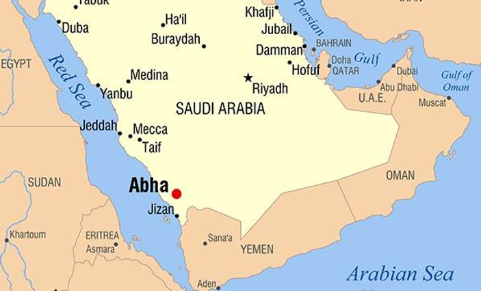 Suudi Arabistan'da camide intihar saldırısı