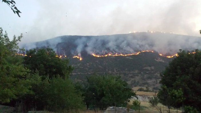 PKK'lılar askere pusu kurmak için orman yaktı