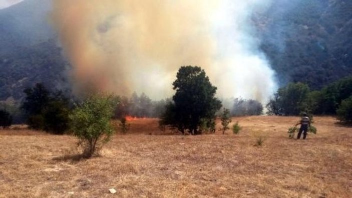 PKK'lılar askere pusu kurmak için orman yaktı