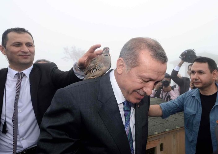 Cumhurbaşkanı Erdoğan'ın başına keklik kondu