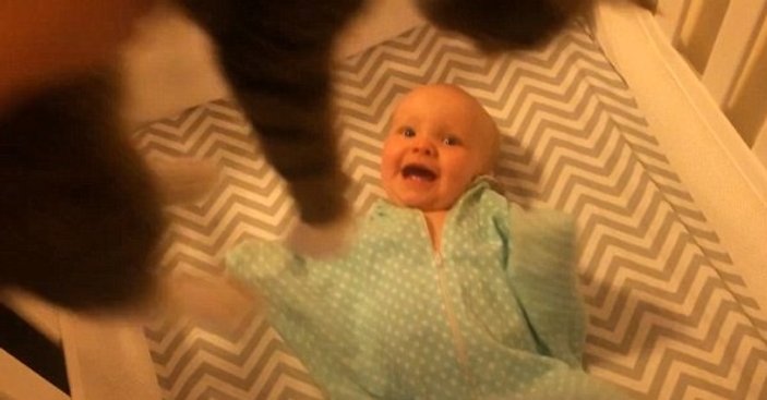 Bebek kediyi görünce çılgına döndü