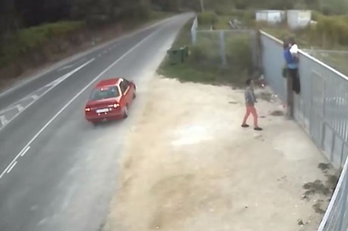 İspanya'da köpeği barınak bahçesine attılar