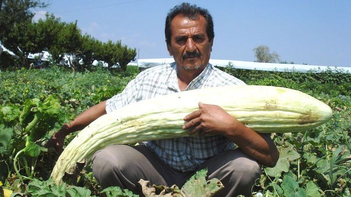 Çiftçi dev acur ve kabak yetiştirdi
