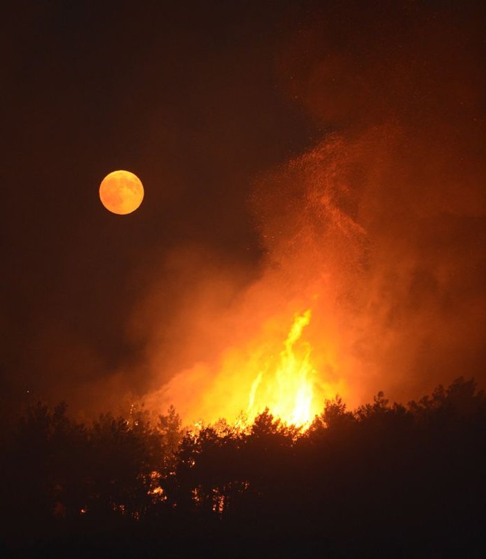 Bursa'da büyük orman yangını