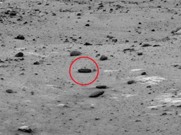 Mars kertenkelesi bulundu