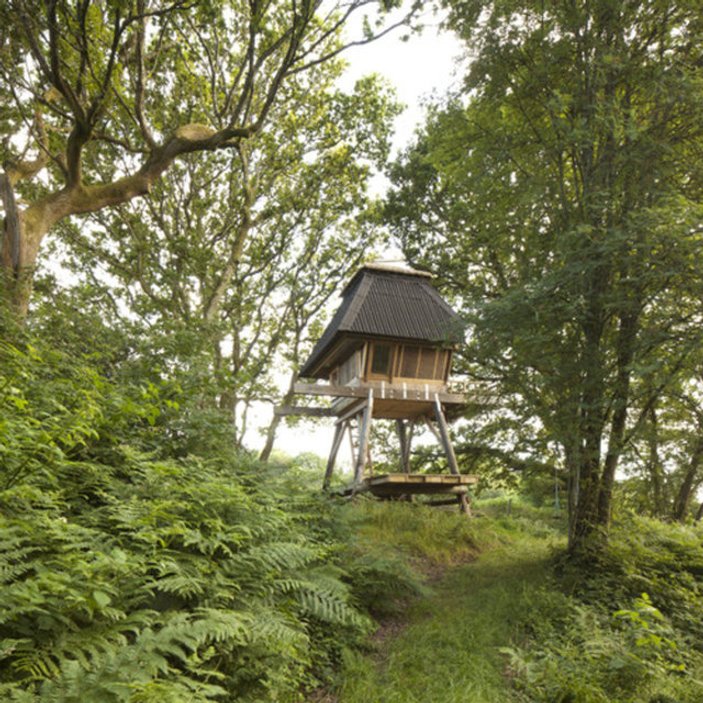 Ormanın içinde muhteşem ev tasarımı
