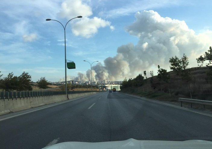 İstanbul'un 3 ilçesinde orman yangını
