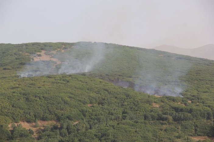 Bitlis'te PKK'ya karşı operasyon başlatıldı