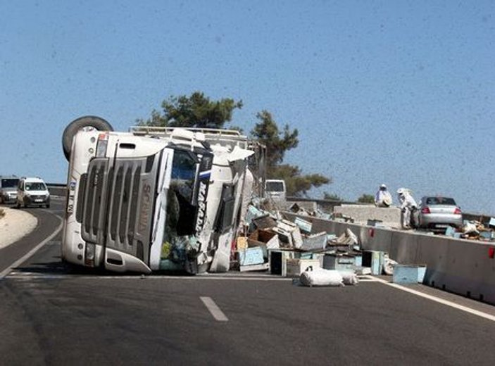 Muğla'da kovan yüklü kamyon devrildi