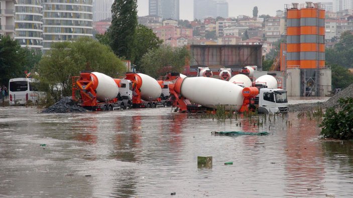 İstanbul'daki yağmurda kurbanlıkları zor kurtardılar