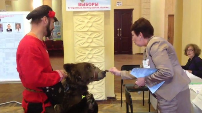 Oy vermek için sandığa giden Rus ayısını da yanına aldı