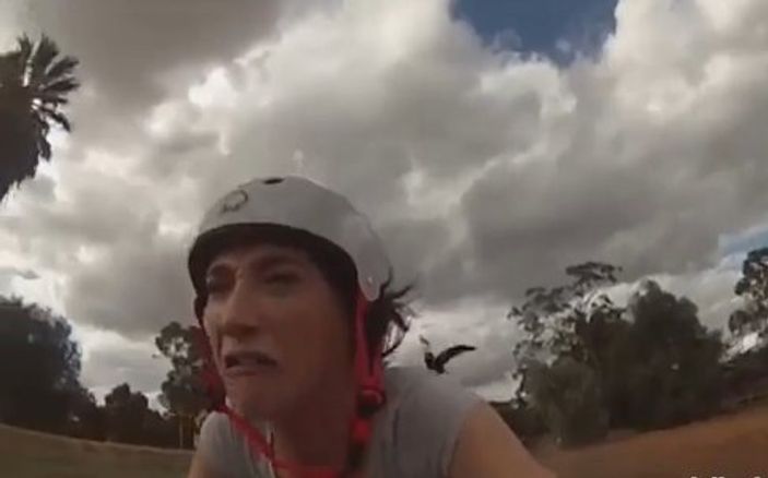 Video fenomeni saksağanın saldırısından kurtulamadı