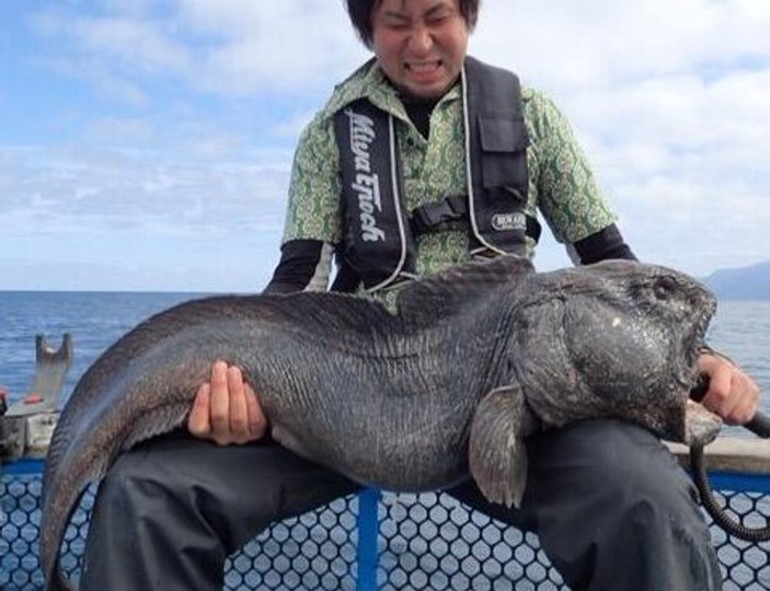 Fukuşima'dan denizdeki canlıların da etkilendiği iddia edildi