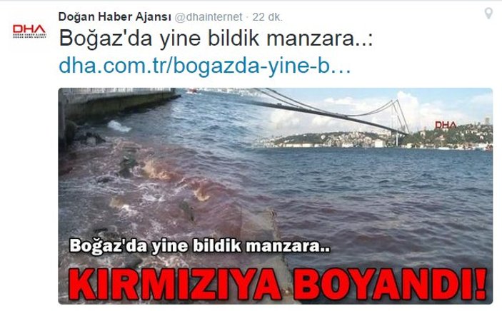 DHA'nın geleneksel kurban haberi: Boğaz kan gölü