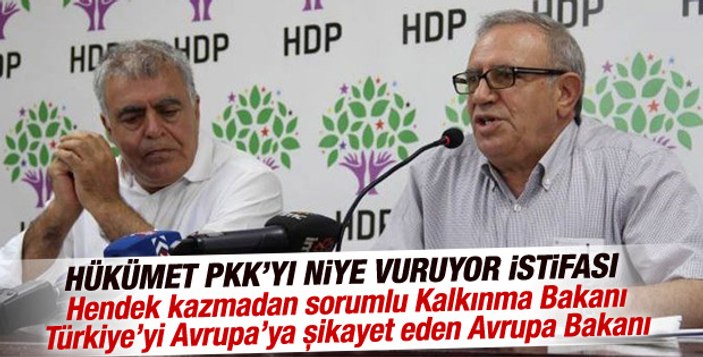 HDP'li eski bakan Ali Haydar Konca vekil seçilemedi