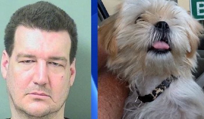 Köpeği ısıran adam hapis cezası aldı