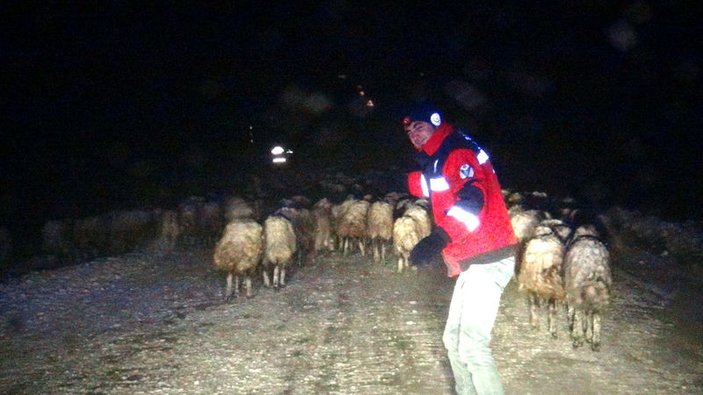 Ardahan'da tipiye yakalanan çobanlardan biri kayıp
