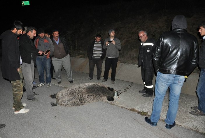 Sivas'ta domuza çarpan araç takla attı: 5 yaralı