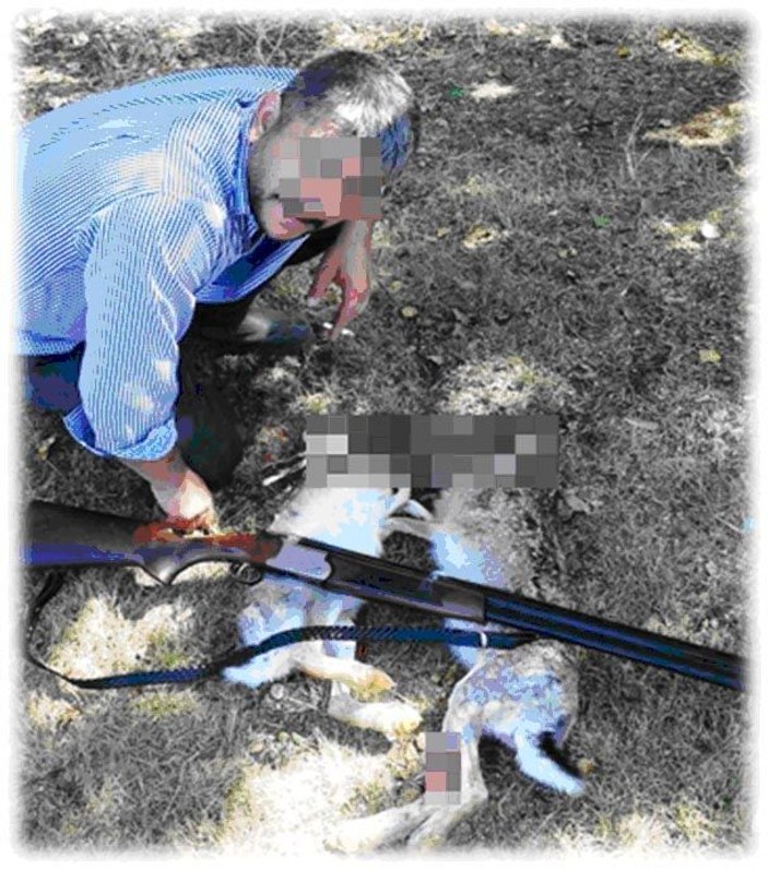 Avladıklar hayvanları Facebook'ta paylaşanlara ceza