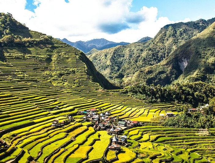Filipinler'in pirinç tarlaları göz kamaştırıyor