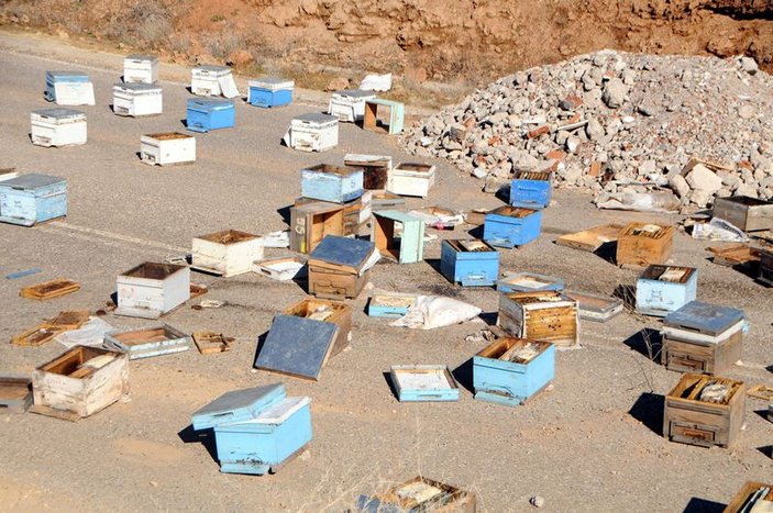 Tunceli'de bir ayı 60 arı kovanını parçaladı