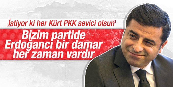 Demirtaş'ın Erdoğan seviciler sözüne HDP'liler kızdı