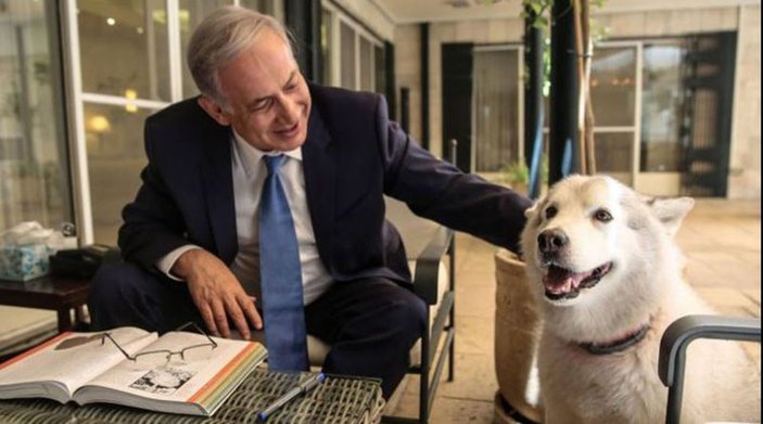 Netanyahu'nun köpeği misafirlerini ısırdı
