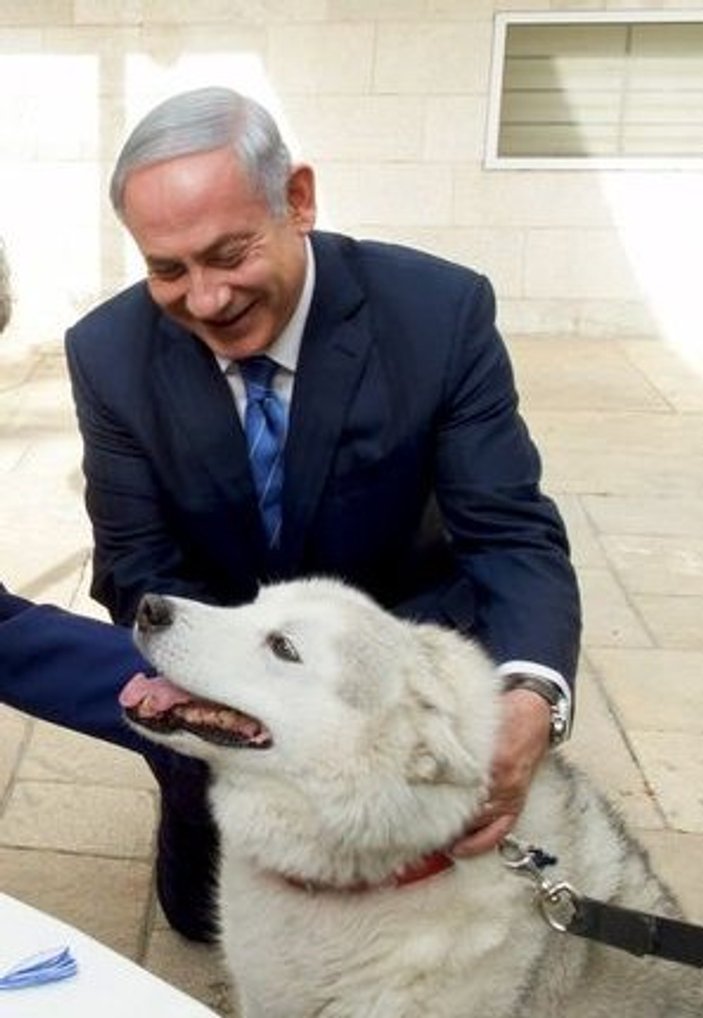 Netanyahu'nun köpeği misafirlerini ısırdı