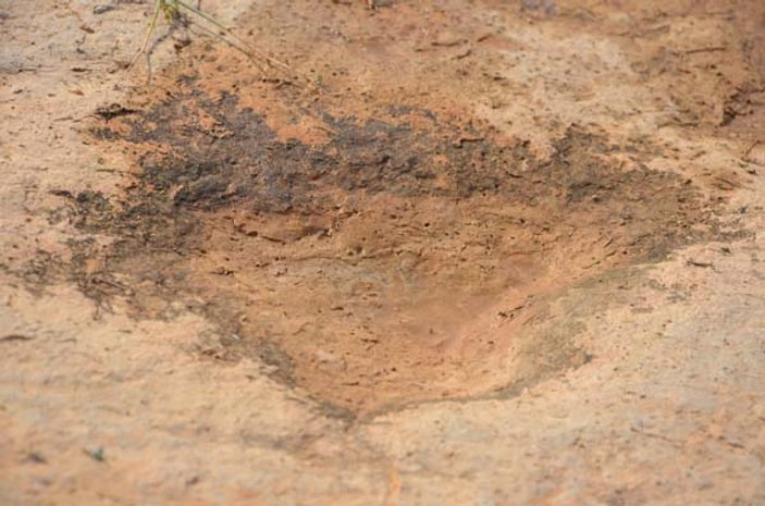 150 milyon yıl öncesine ait ayak izi bulundu