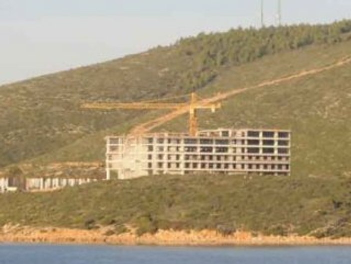 ş