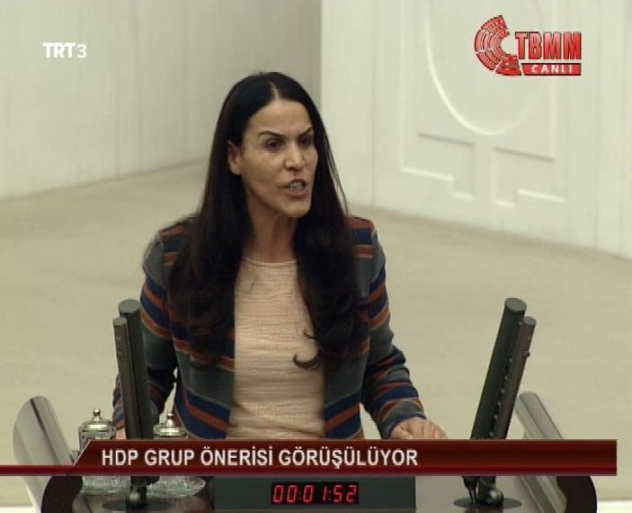 HDP'li vekil askerin duyarlı davranışından rahatsız oldu