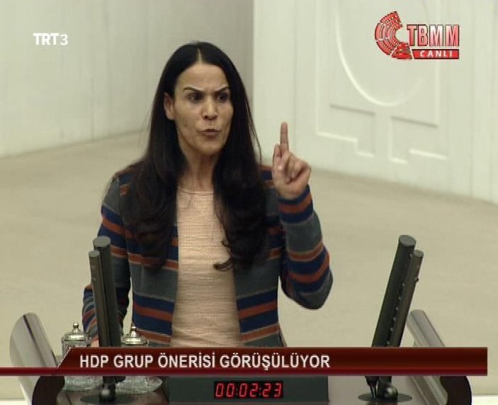 HDP'li vekil askerin duyarlı davranışından rahatsız oldu