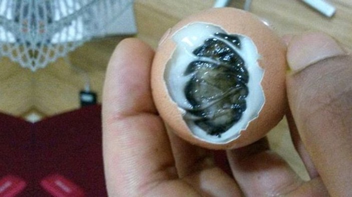 Kaynattığı yumurtadan civciv çıktı