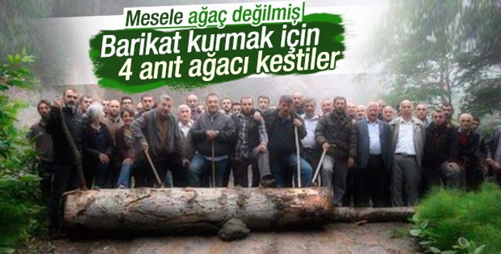 Bakan Eroğlu: Eylemciler Cerattepe'de ağaç kesti