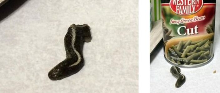 ABD'de fasulye konservesinde yılan kafası çıktı