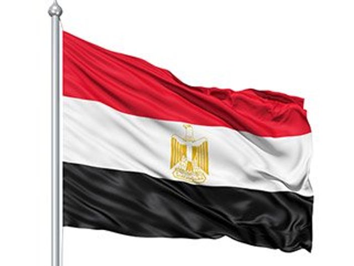 Mısır'da muhalif milletvekilinin dokunulmazlığı kalktı