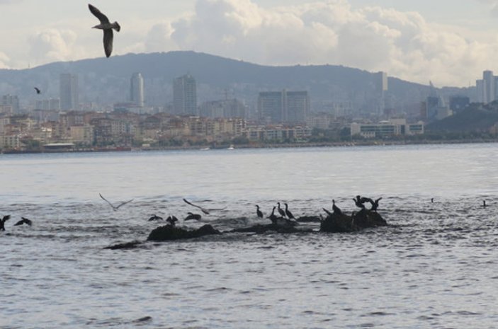 İstanbul'un kayıp adası için çalışmalar başladı