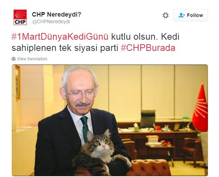 Kılıçdaroğlu mart ayının ilk gününde kedileri unutmadı