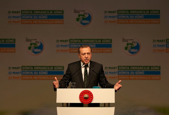 Erdoğan Türkiye Çınar Yılı etkinliğinde konuştu