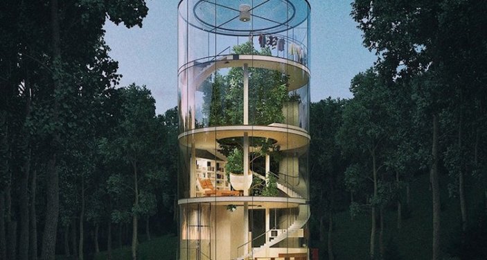 Ağacın etrafına yapılmış muhteşem cam ev