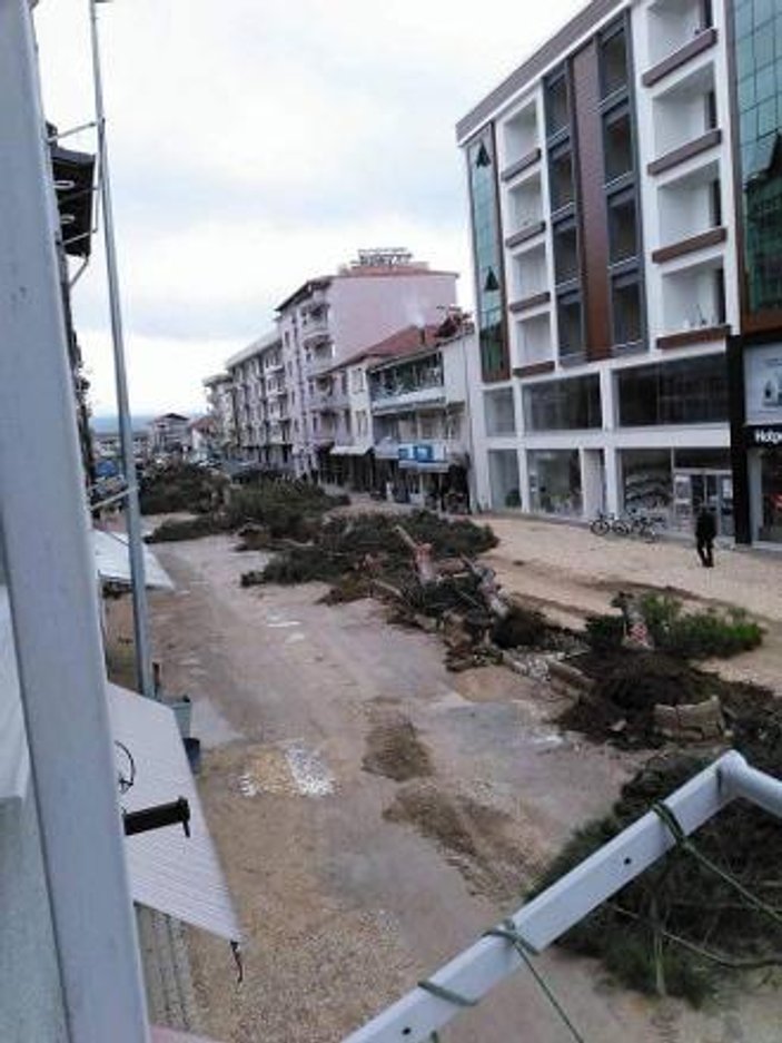 MHP'li Kula Belediyesi 59 çam ağacını kesti
