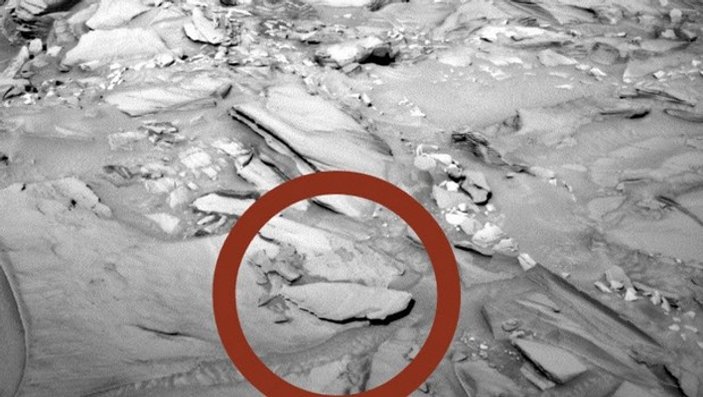 Mars'tan gelen fotoğrafta kafa karıştıran detay