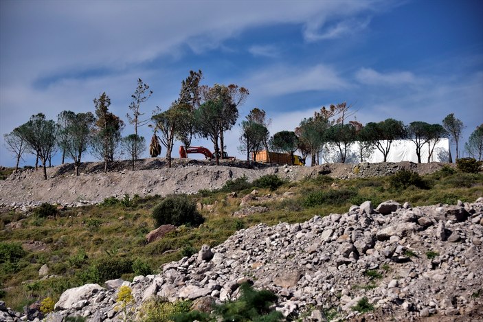 Bodrum'da yeşile boyanan ağaçlar tutmayınca kesildi