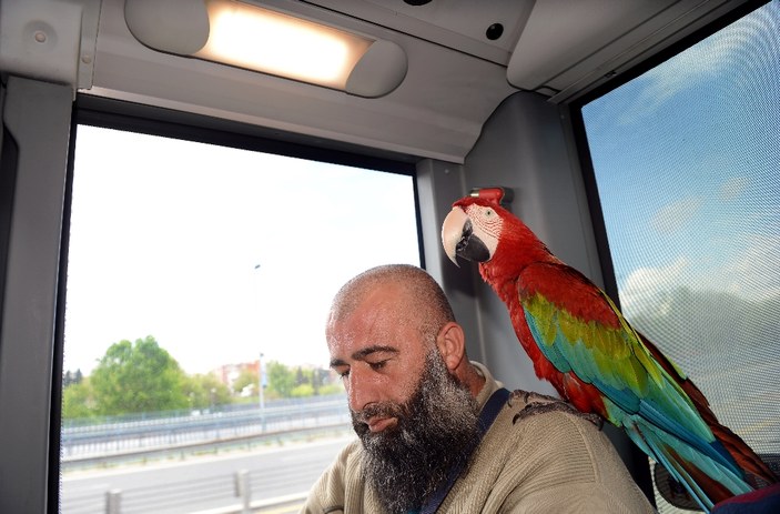 Sahibiyle metrobüse binen papağan Allah diyor