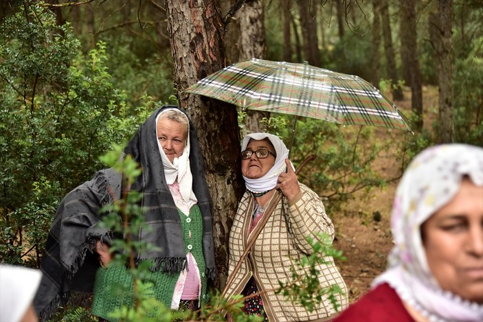 CHP'li Muğla Belediyesi 4 bin ağaç kesip çöplük yapacak