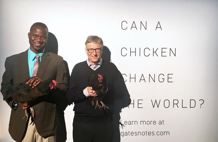 Bill Gates Afrika'ya 100 bin tavuk bağışladı
