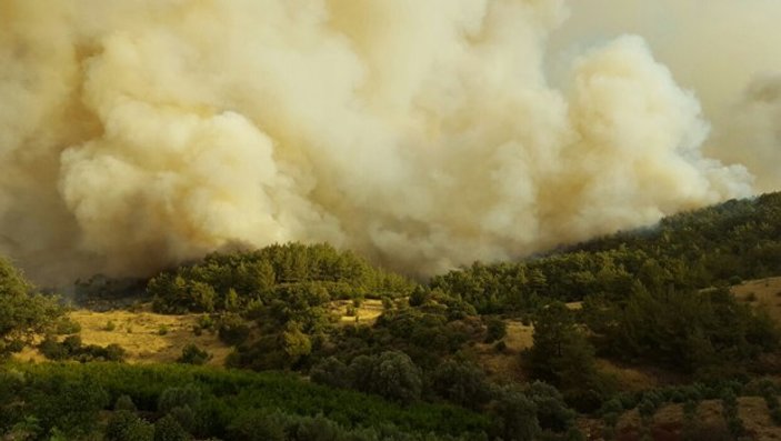 Antalya'da orman yangını devam ediyor