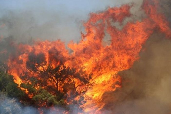 Adrasan'daki yangın kontrol altına alındı