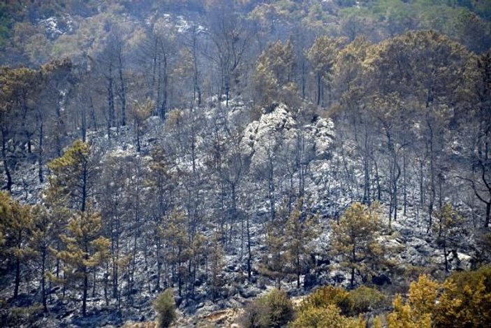 Adrasan'daki yangında ormanlar kül oldu